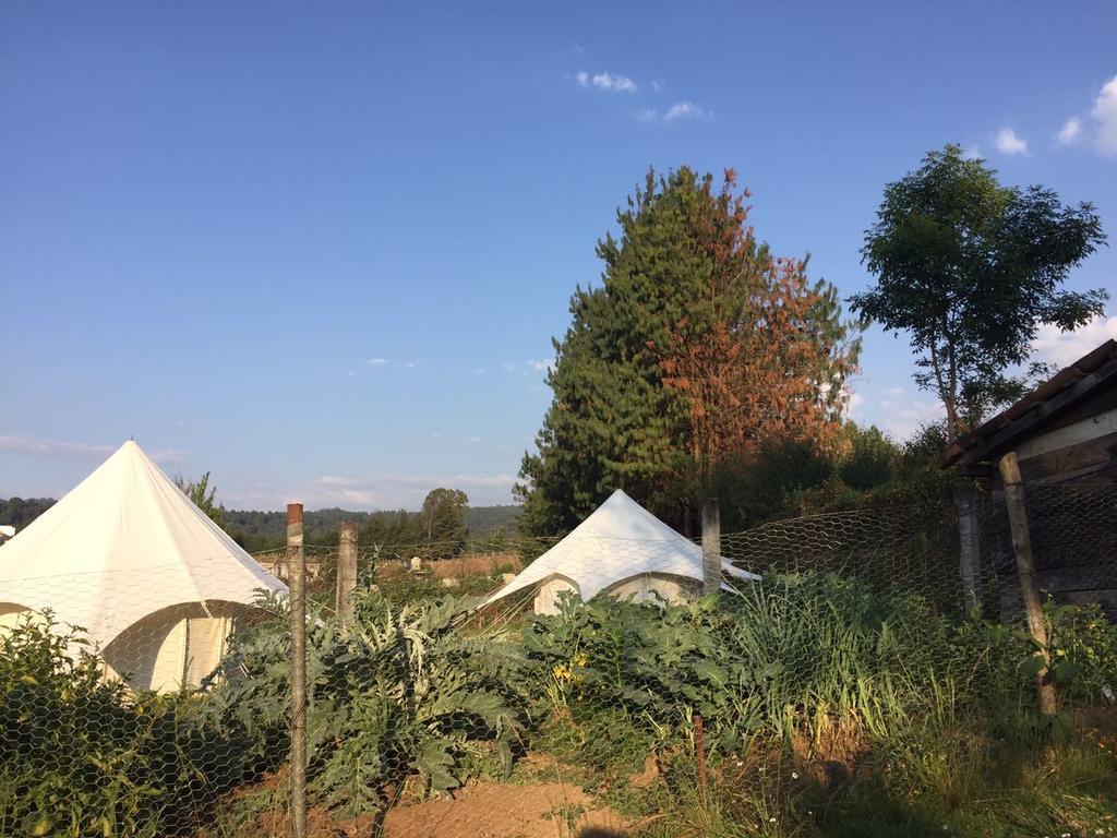 ホテルAcatitlan Glamping バジェ・デ・ブラボ エクステリア 写真